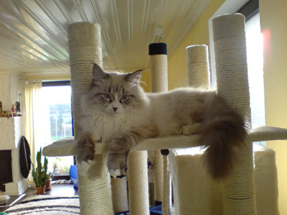 Zarenko am 30.11.2009